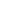 icon_pro